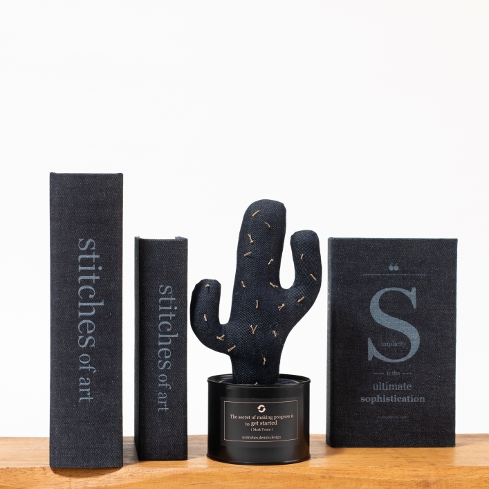 .cactus scent diffuser - type Effect